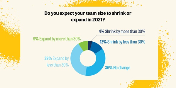 Pie chart are agencies expanding their teams